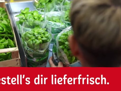 REWE Lieferservice